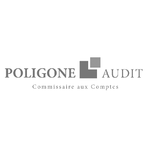 Poligone Audit